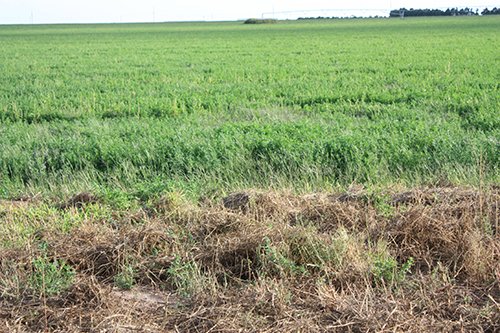 Property photo 43 - LAND AUCTION, 3255+/- Acres offered in 13 Tracts